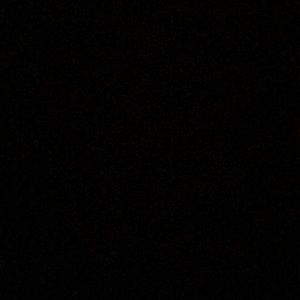 Meet your Posher, Breegan